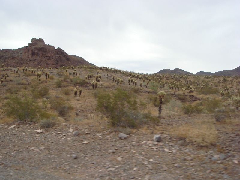 DSC02052.JPG