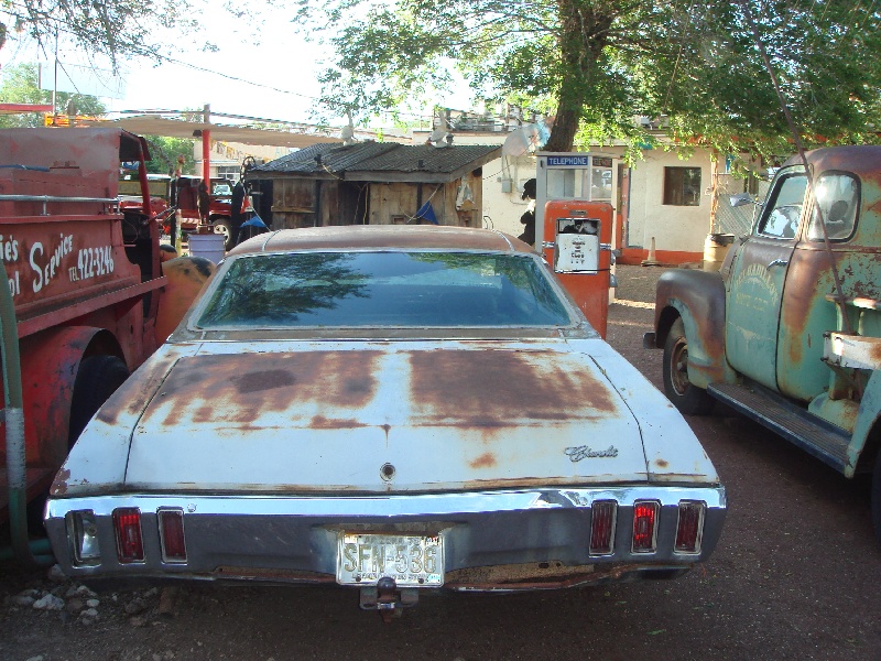 DSC02137.JPG