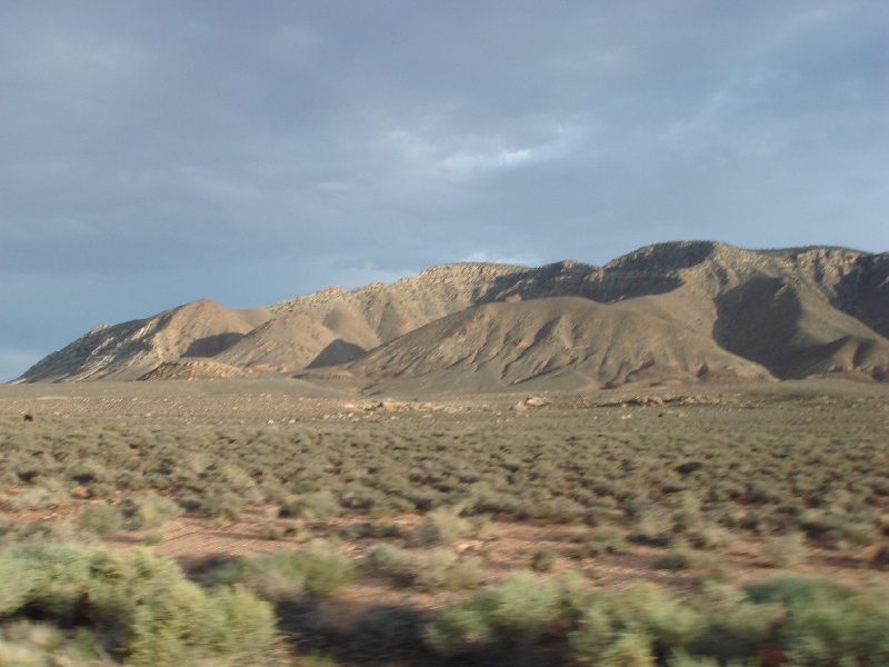 DSC02237.JPG