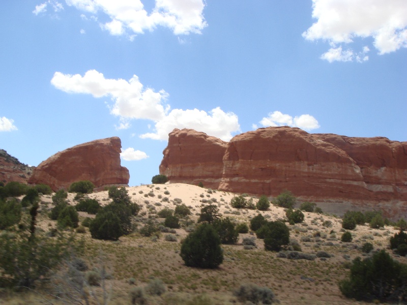 DSC02344.JPG