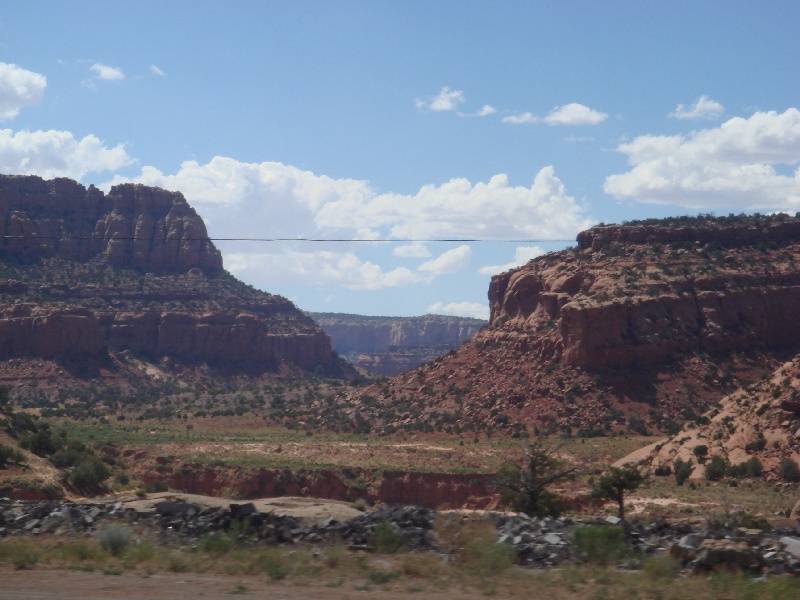 DSC02355.JPG