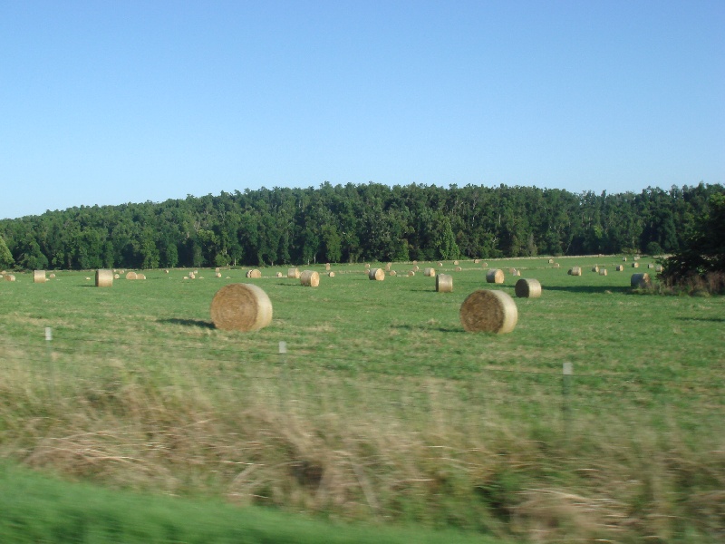 DSC03052.JPG