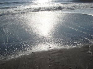 dsc01409
