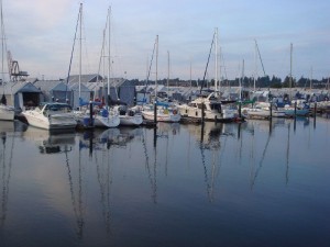 dsc01518