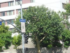 dsc01830
