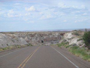 dsc02558