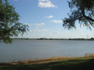 dsc02950