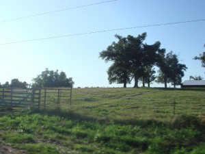 dsc03053